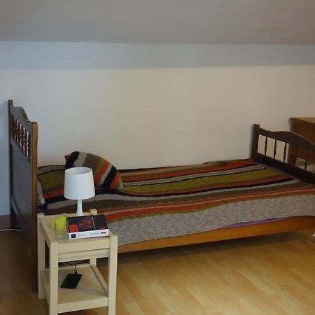 Bel Appartement Au Coeur Du Puy En Velay Le Puy-en-Velay Kültér fotó