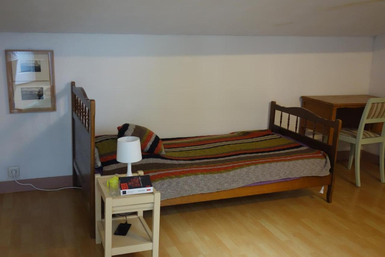 Bel Appartement Au Coeur Du Puy En Velay Le Puy-en-Velay Kültér fotó