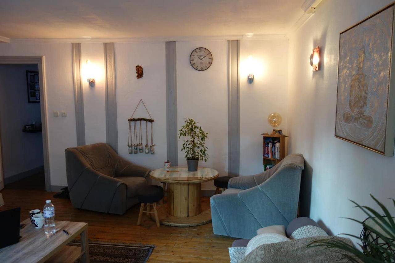Bel Appartement Au Coeur Du Puy En Velay Le Puy-en-Velay Kültér fotó