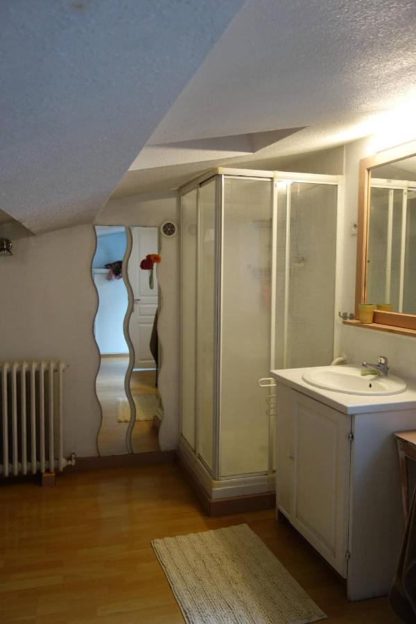 Bel Appartement Au Coeur Du Puy En Velay Le Puy-en-Velay Kültér fotó
